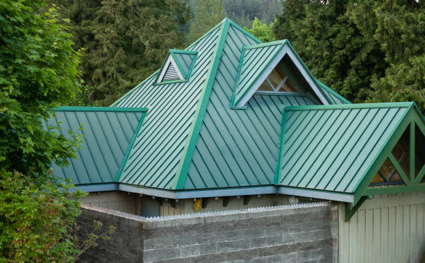 Best Skylight Installation and Repair  in Gibbstown, NJ